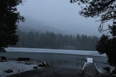 DSC_5840 (Large).JPG